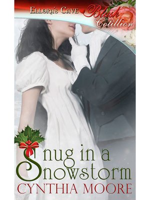 cover image of Snug in a Snowstorm